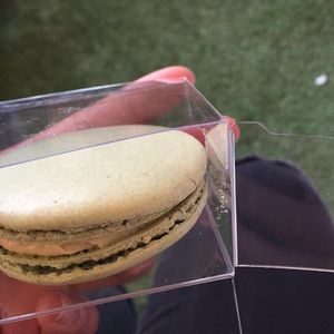 Meet your Posher, Maria